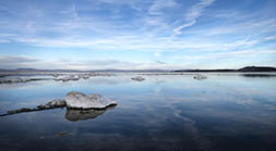 Contrail over Black Point